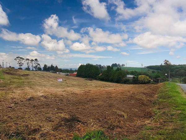 Terreno en hortensia, 17