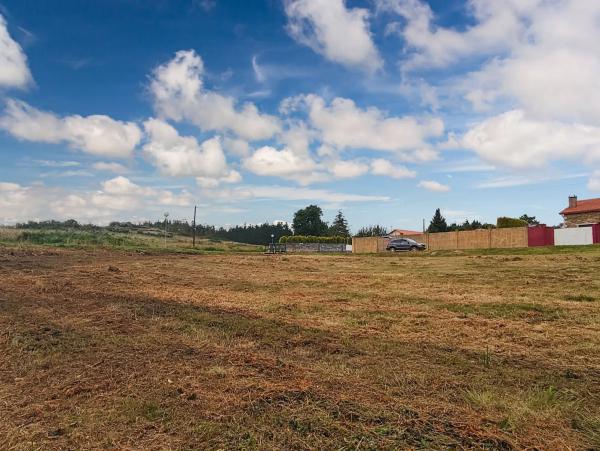 Terreno en hortensia, 17