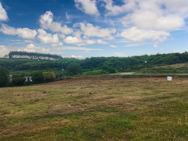 Terreno en hortensia, 17