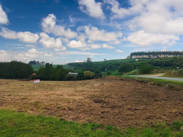 Terreno en hortensia, 17