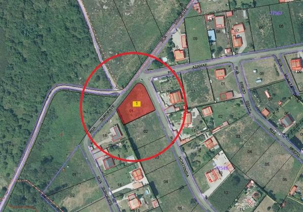 Terreno en hortensia, 17