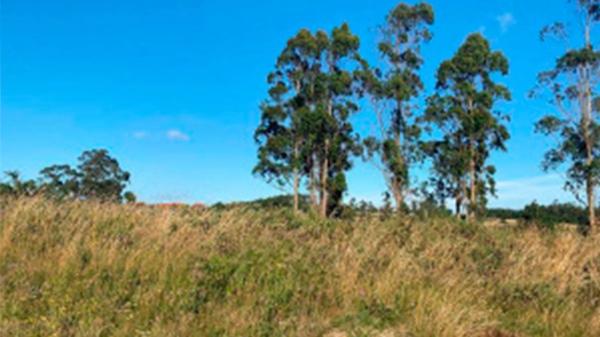 Terreno en calle Toro s/n None