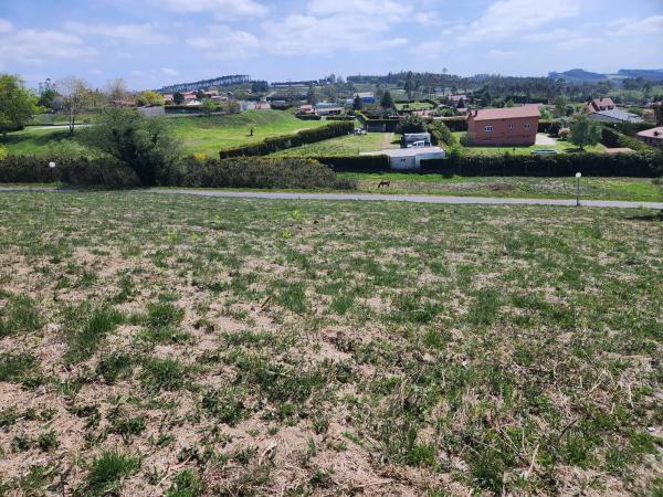 Terreno en calle Sauce, 4