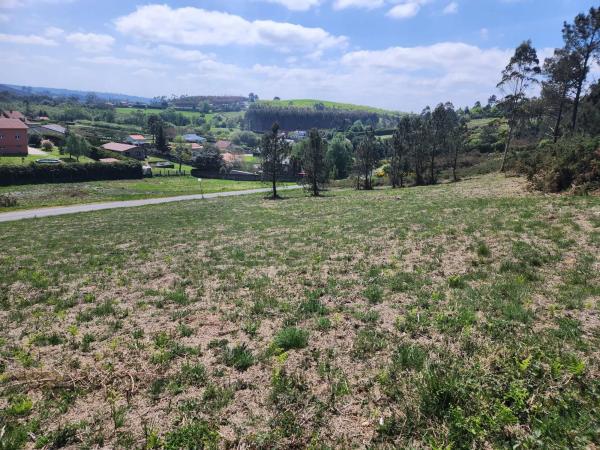 Terreno en calle Sauce, 4