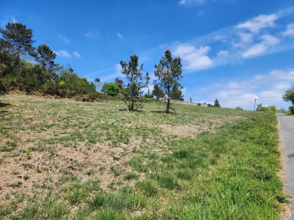 Terreno en calle Sauce, 4