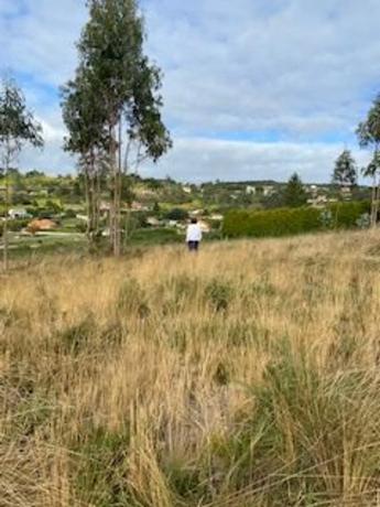 Terreno en calle del Toro, 32 ,34,36,38