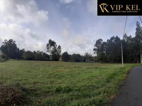 Terreno en calle Longo