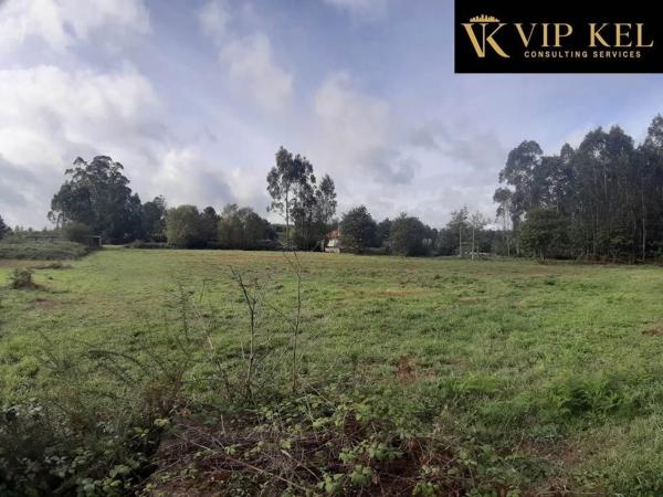 Terreno en calle Longo