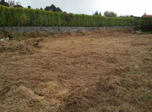 Terreno en calle Urogallo, 32