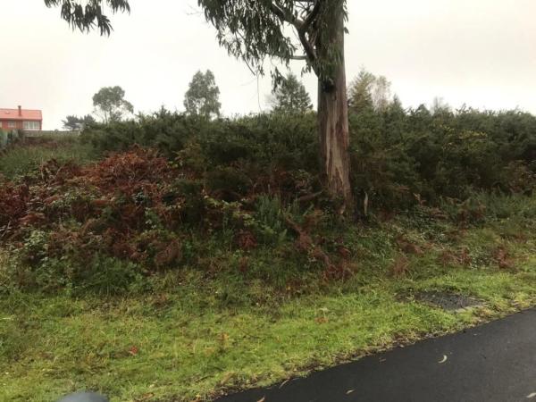 Terreno en calle Suroeste