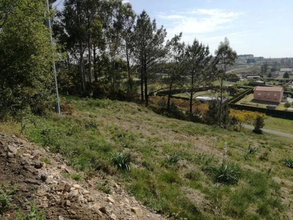 Terreno en Urbanización o Castelo s/n CalleMagnolio