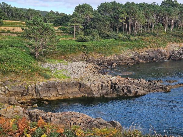 Terreno en Ac-445, 40