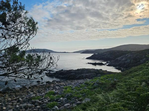 Terreno en Ac-445, 40