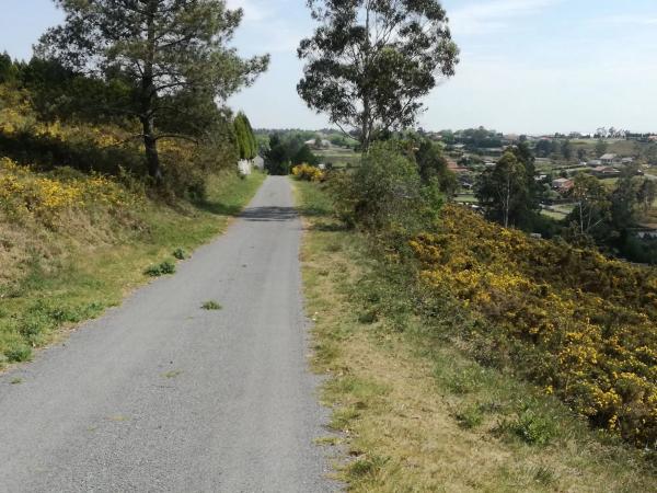 Terreno en Urbanización o Castelo s/n CalleMagnolio