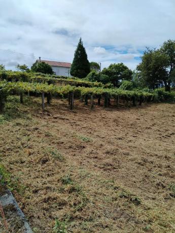 Terreno en Aldea de Reboiras (Laíño) s/n
