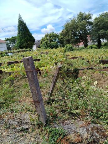Terreno en Aldea de Reboiras (Laíño) s/n