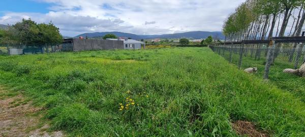 Terreno en Aldea Lestrove, 63