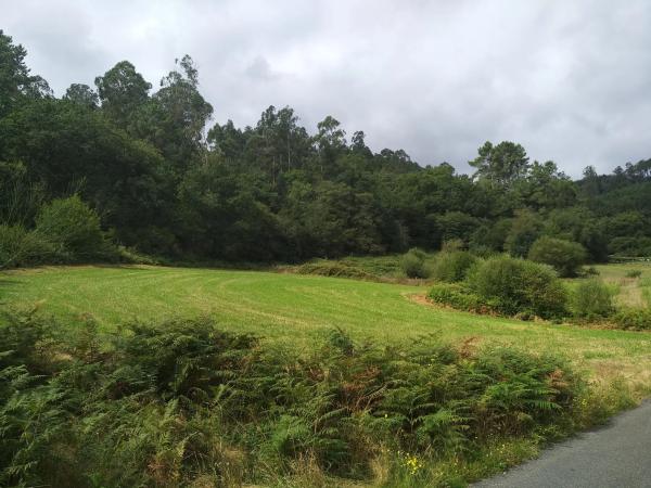 Terreno en Cabanela, 3 AmindelaAG