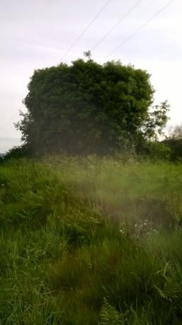 Terreno en Aldea Imo, km 1