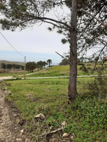 Terreno en Buxán, 1