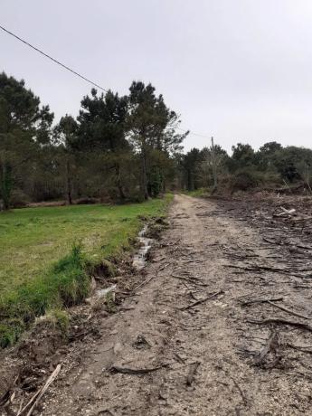 Terreno en Buxán, 1