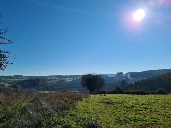 Terreno en Santa María de Añá s/n