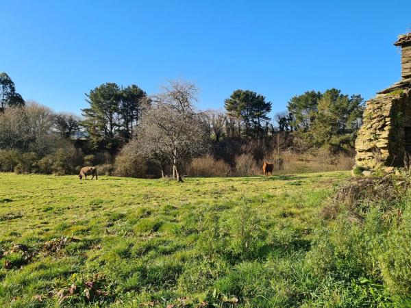 Terreno en Santa María de Añá s/n