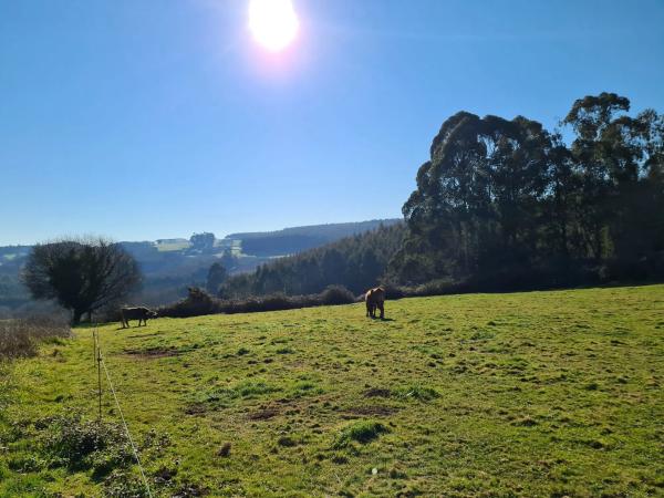Terreno en Santa María de Añá s/n