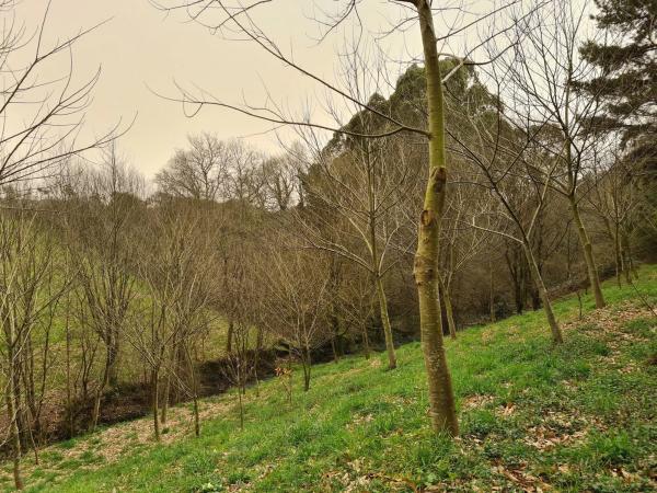 Terreno en Santa María de Añá s/n