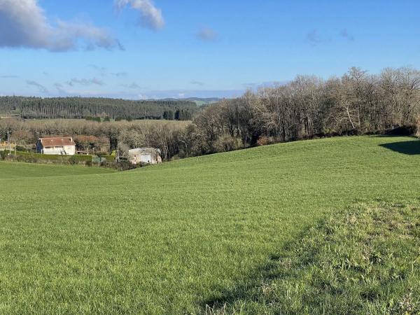 Terreno en Lugar Pazo, 16
