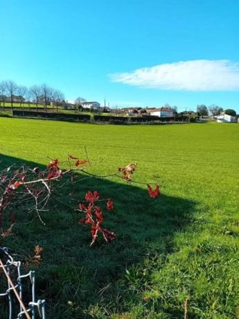 Terreno en Lugar Pazo, 16
