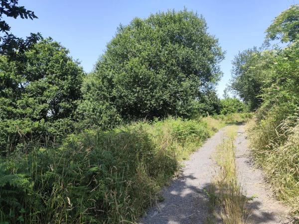 Terreno en rego de santa mariña s/n sn