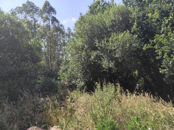 Terreno en rego de santa mariña s/n sn