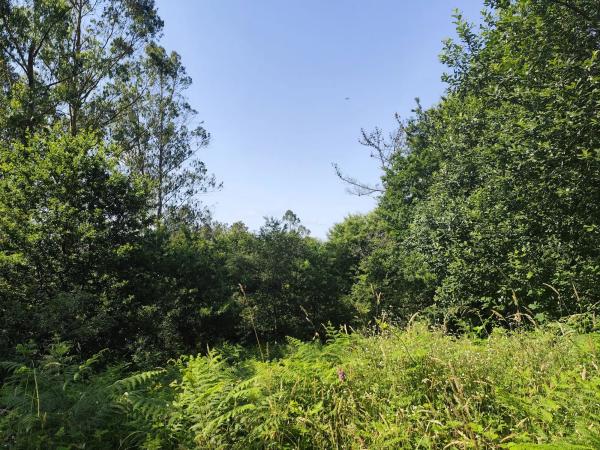 Terreno en rego de santa mariña s/n sn