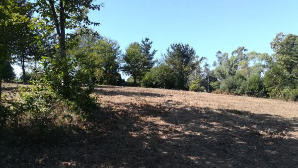 Terreno en calle do Batán s/n Sn