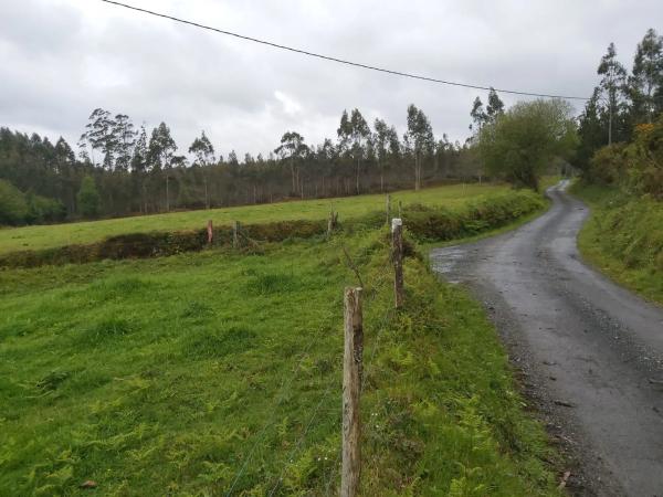 Terreno en calle malvive, 2