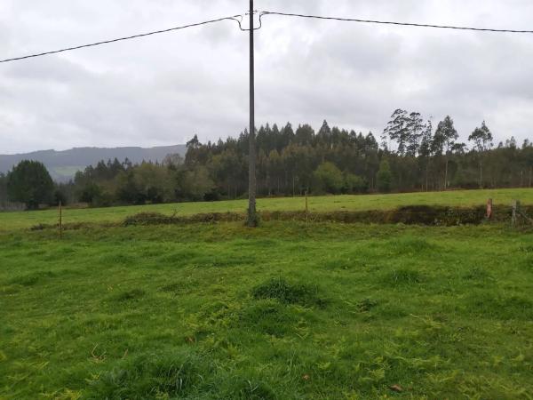 Terreno en calle malvive, 2