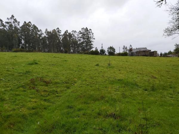 Terreno en calle malvive, 2