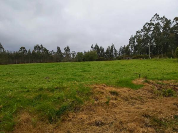 Terreno en calle malvive, 2