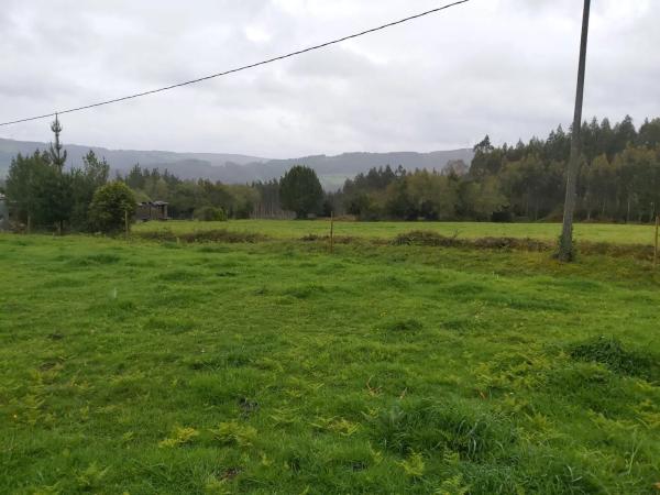 Terreno en calle malvive, 2