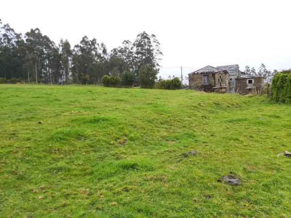 Terreno en calle malvive, 2