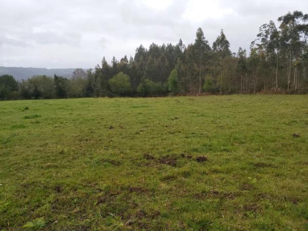 Terreno en calle malvive, 2