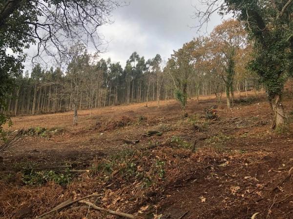 Terreno en Lugar Sabaido, 5