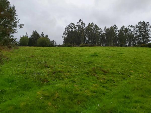 Terreno en calle malvive, 2