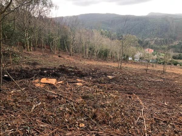 Terreno en Lugar Sabaido, 5