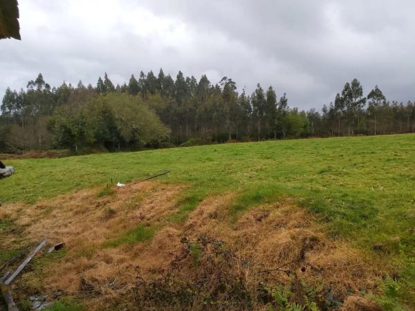 Terreno en calle malvive, 2