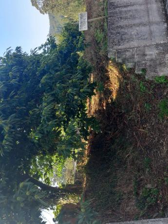 Terreno en camino de la Iglesia s/n  sn