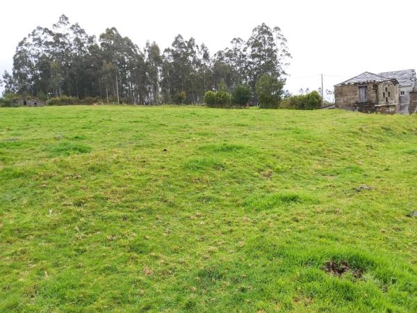 Terreno en calle malvive, 2