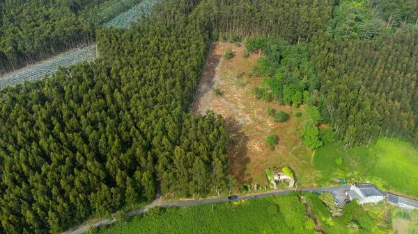 Terreno en Lugar Sabaido, 5