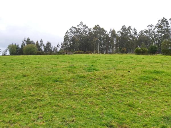 Terreno en calle malvive, 2